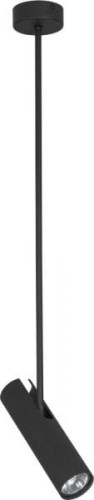 6503.jpg