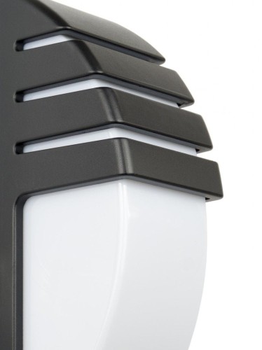 lampa city-2.jpg