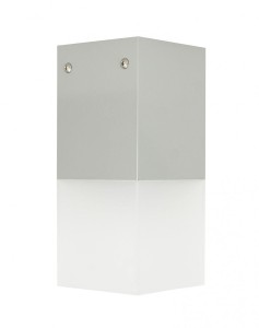 Oprawa sufitowa CUBE MAX CB-MAX S AL srebrna SU-MA           