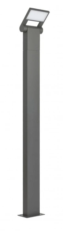 lampa neo-1.jpg