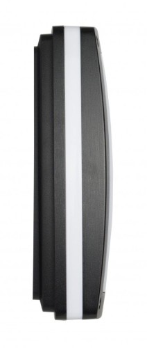 lampa nex-2.jpg