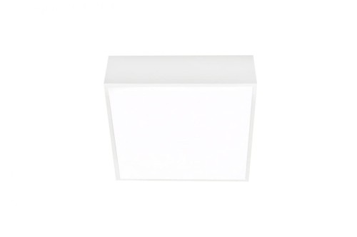 lampa falco biała-1.jpg