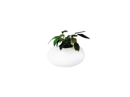 lampa-stolowa-flora-azzardo-1.jpg