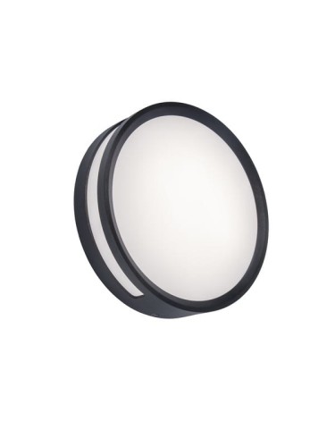 lampa rola-1.jpg