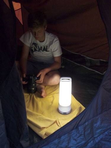 lampa dragonfly-2.jpg