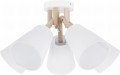 lampa-vaio-1.jpg