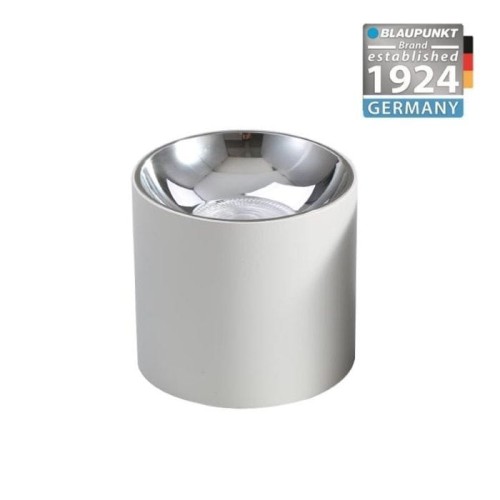 spot-natynkowy-led-blaupunkt-roller-10w-bialy-5.jpg
