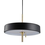 pol_pl_Lampa-wiszaca-ARTDECO-czarno-zlota-35-cm-344_5.jpg