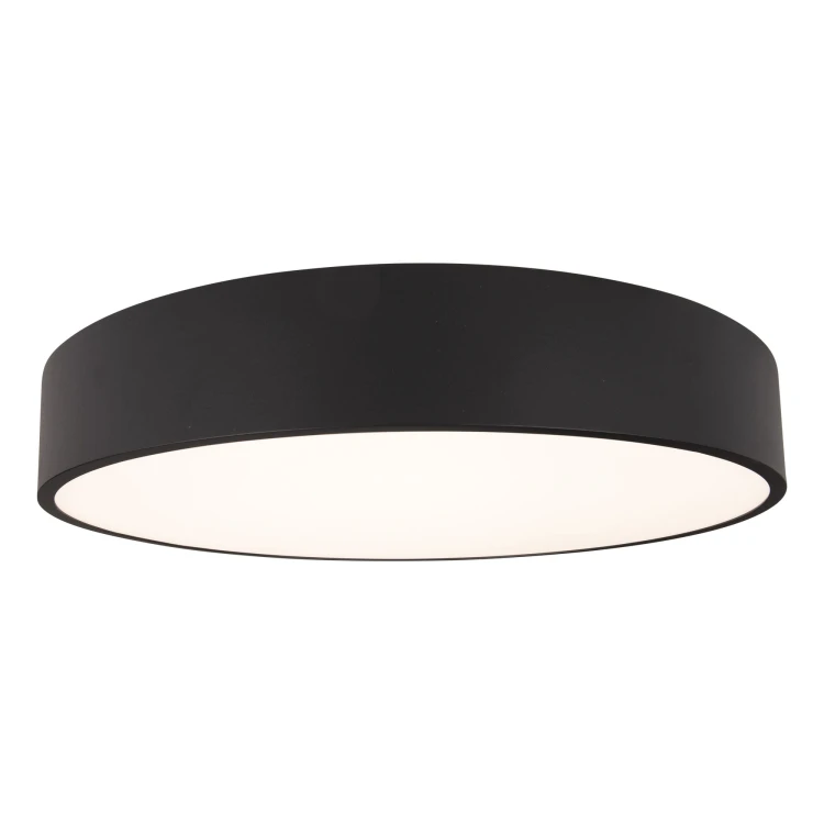 ROUNDY C0214-2.jpg