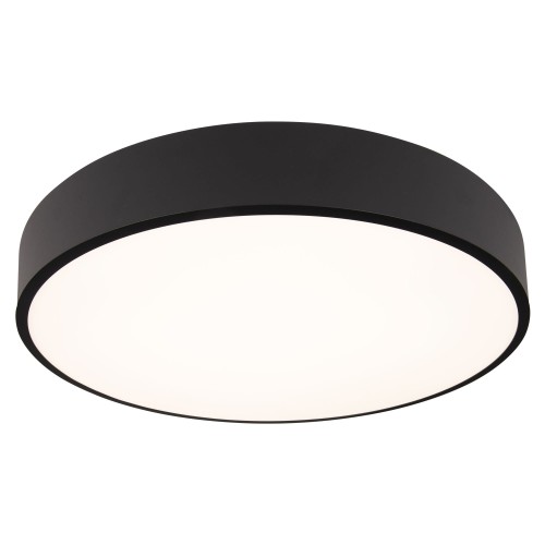 ROUNDY C0214.jpg