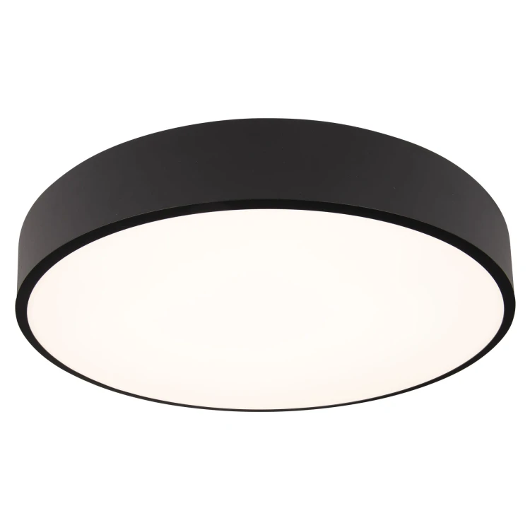 ROUNDY C0214.jpg