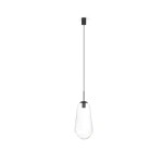 PEAR black L 7797 Nowodvorski-1.jpg