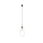 PEAR black L 7797 Nowodvorski.jpg