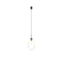 PEAR black M 7798 Nowodvorski-1.jpg
