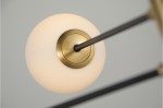 oviedo-gold-7.jpg