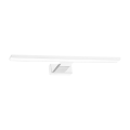 I.ML3878.png