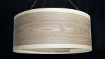 LEEA – HANGING ASH-5.jpg