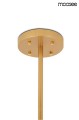 MSE010100180_astrifero_gold_15_10_logo.jpg