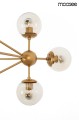 MSE010100180_astrifero_gold_15_8_logo.jpg