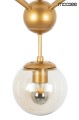 MSE010100180_astrifero_gold_15_5_logo.jpg