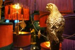 DSC09047.jpg