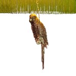 Lampa-BARRACUDA-sklep-Las-Plumas_detal-1.jpg