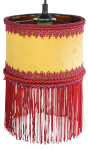 CANARIO-N2.png