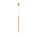 Lampa-Wiszaca-Elin-1xLED-zlota-IP44-PL0123-GD.webp