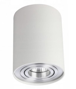 Oprawa sufitowa BROSS biała/aluminium AZZARDO