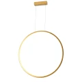 Lampa-Wiszaca-Loop-S-1xLED-zlota-IP44-PL0119-65-GD.webp