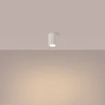 pol_pl_Plafon-KARBON-10-bezowy-4084_6.webp