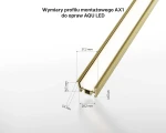 infografiki_aqu_zlote_profil_ax1_wymiar.webp