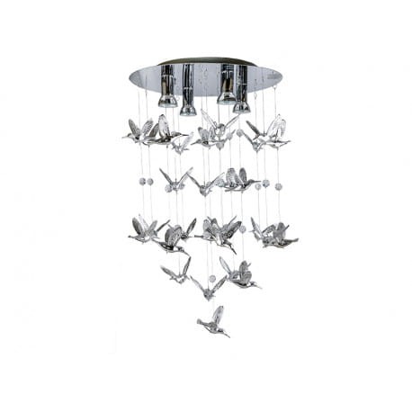 birds.jpg