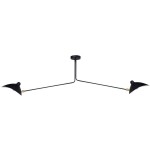 pol_pl_Lampa-wiszaca-CRANE-2P-dwuramienna-czarna-267_1.jpg
