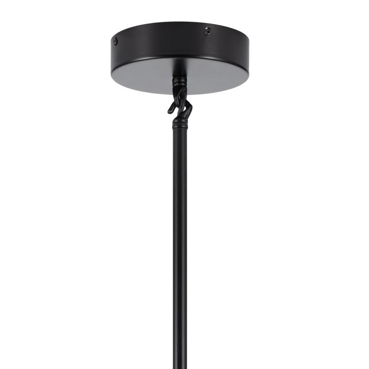 pol_pl_Lampa-wiszaca-MODERN-ORCHID-9-bursztynowo-czarna-150-cm-55_11.jpg