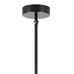 pol_pl_Lampa-wiszaca-MODERN-ORCHID-9-bursztynowo-czarna-150-cm-55_11.jpg