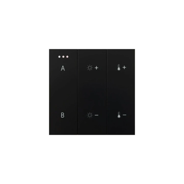 switch-panel-remote-control-2-group-bluetooth-bk.jpg