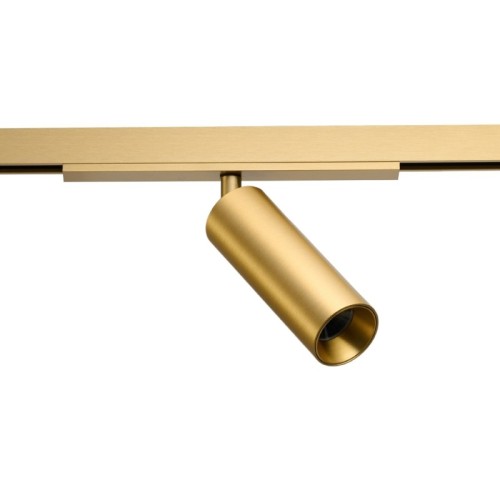 sigma-niko-track-magnetic-8w-cct-bluetooth-gold (1).jpg
