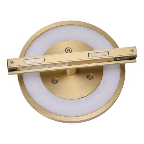 sigma-cora-track-magnetic-8w-cct-dali-gold (4).jpg