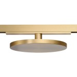 sigma-cora-track-magnetic-8w-cct-dali-gold (3).jpg