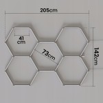 Hexagon LED 5423-8.jpg