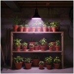 zarowka-do-roslin-led-planty-b-7w-e27-1200k-czarna-kobi-5907178003121-4.jpg