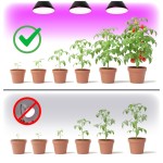 zarowka-do-roslin-led-planty-b-7w-e27-1200k-czarna-kobi-5907178003121-3.jpg