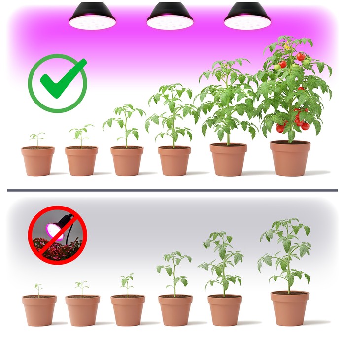 zarowka-do-roslin-led-planty-b-9w-e27-1200k-czarna-kobi-design-5902201382921-3.jpg