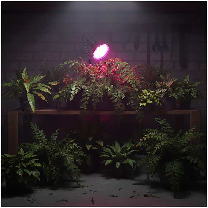 zarowka-do-roslin-led-planty-b-9w-e27-1200k-czarna-kobi-design-5902201382921-2.jpg