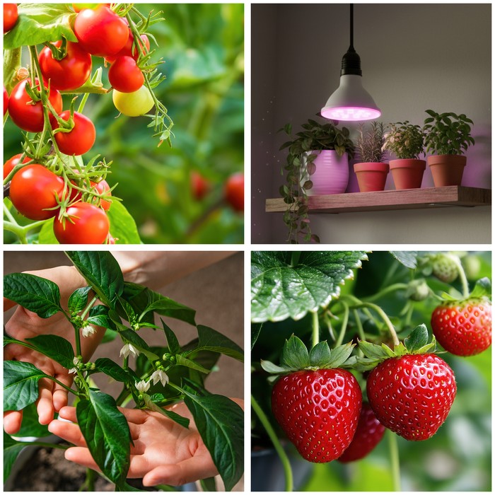 zarowka-do-roslin-led-planty-w-7w-e27-1200k-biala-kobi-design-5907178003114-6.jpg