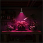zarowka-do-roslin-led-planty-w-9w-e27-1200k-biala-kobi-design-5902201382914-2.jpg