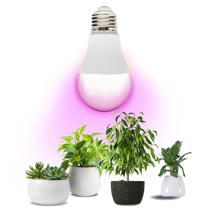 zarowka-do-roslin-led-planty-gs-11w-e27-1200k-kobi-design-5907178003152-6.jpg