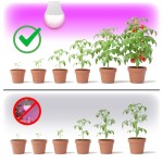 zarowka-do-roslin-led-planty-gs-11w-e27-1200k-kobi-design-5907178003152-4.jpg