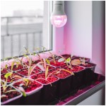 zarowka-do-roslin-led-planty-gs-11w-e27-1200k-kobi-design-5907178003152-3.jpg